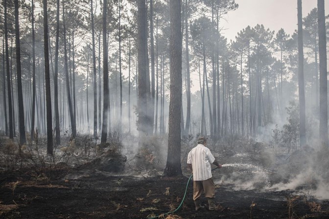 Autoridades podem ter encontrado a 112ª vítima dos incêndios do verão