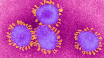Como está a Europa a atravessar a 2.ª vaga da pandemia?